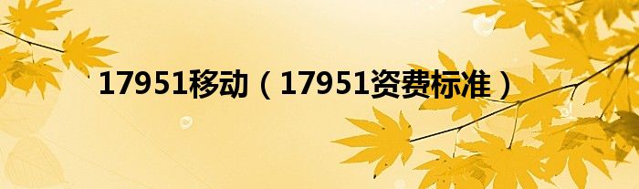  17951移动（17951资费标准）