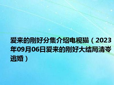 爱来的刚好分集介绍电视猫（2023年09月06日爱来的刚好大结局清岺逃婚）