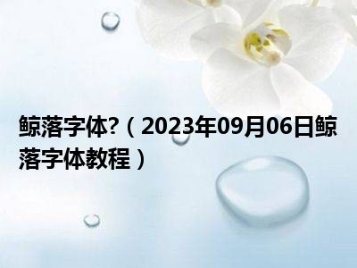 鲸落字体 （2023年09月06日鲸落字体教程）