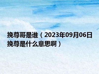 挽尊哥是谁（2023年09月06日挽尊是什么意思啊）