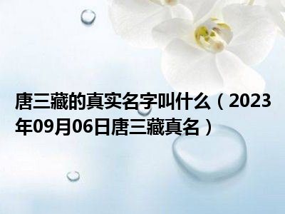 唐三藏的真实名字叫什么（2023年09月06日唐三藏真名）