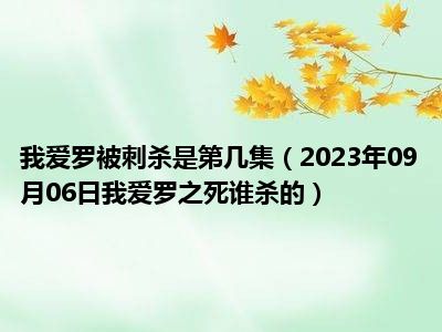 我爱罗被刺杀是第几集（2023年09月06日我爱罗之死谁杀的）