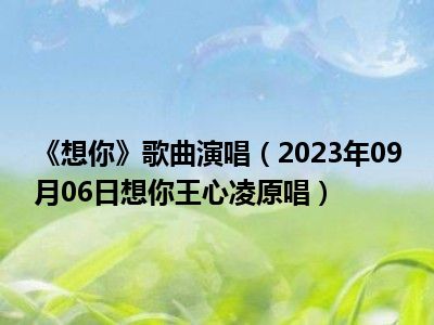 《想你》歌曲演唱（2023年09月06日想你王心凌原唱）