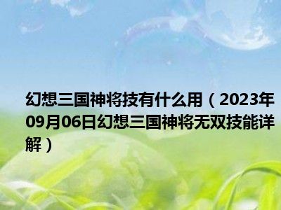 幻想三国神将技有什么用（2023年09月06日幻想三国神将无双技能详解）