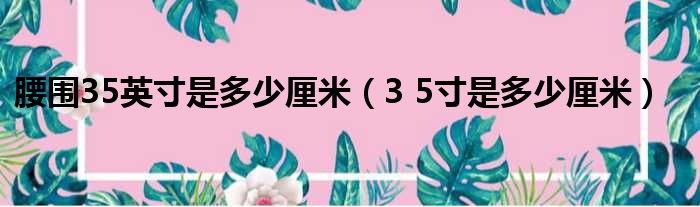 腰围35英寸是多少厘米（3 5寸是多少厘米）