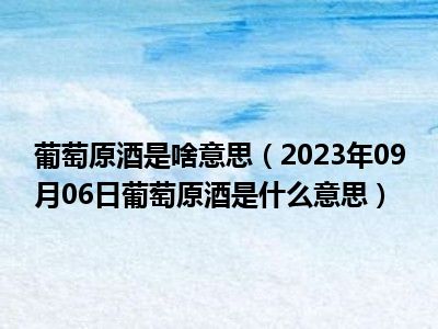 葡萄原酒是啥意思（2023年09月06日葡萄原酒是什么意思）