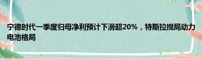 宁德时代一季度归母净利预计下滑超20% 特斯拉搅局动力电池格局