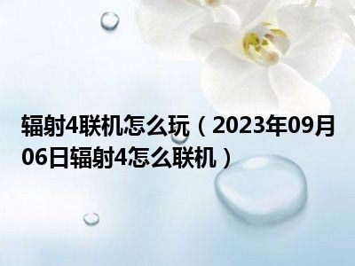 辐射4联机怎么玩（2023年09月06日辐射4怎么联机）