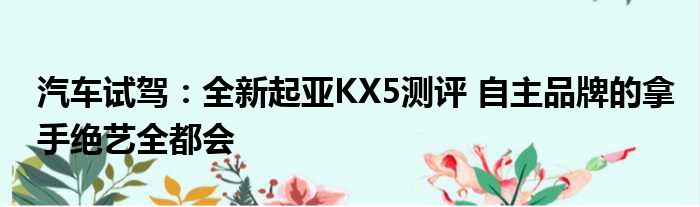 汽车试驾：全新起亚KX5测评 自主品牌的拿手绝艺全都会