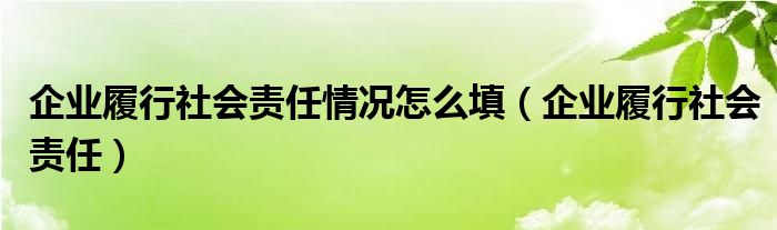  企业履行社会责任情况怎么填（企业履行社会责任）