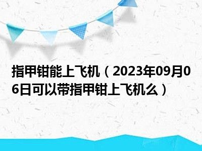 指甲钳能上飞机（2023年09月06日可以带指甲钳上飞机么）