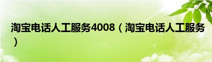  淘宝电话人工服务4008（淘宝电话人工服务）