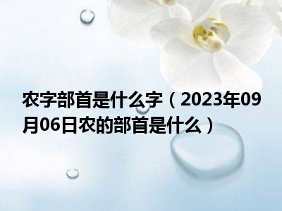 农字部首是什么字（2023年09月06日农的部首是什么）