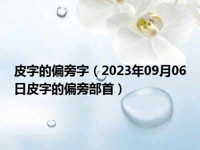 皮字的偏旁字（2023年09月06日皮字的偏旁部首）