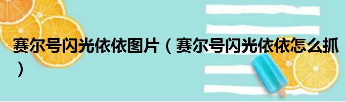 赛尔号闪光依依图片（赛尔号闪光依依怎么抓）