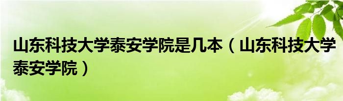  山东科技大学泰安学院是几本（山东科技大学泰安学院）