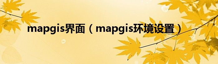  mapgis界面（mapgis环境设置）