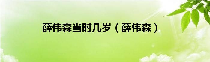  薛伟森当时几岁（薛伟森）