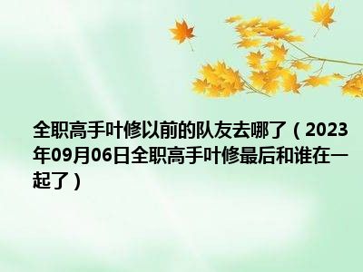 全职高手叶修以前的队友去哪了（2023年09月06日全职高手叶修最后和谁在一起了）