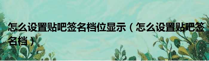 怎么设置贴吧签名档位显示（怎么设置贴吧签名档）