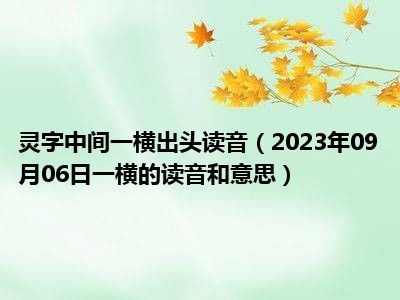 灵字中间一横出头读音（2023年09月06日一横的读音和意思）