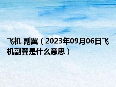 飞机 副翼（2023年09月06日飞机副翼是什么意思）