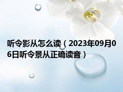 听令影从怎么读（2023年09月06日听令景从正确读音）