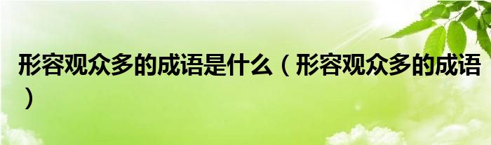  形容观众多的成语是什么（形容观众多的成语）