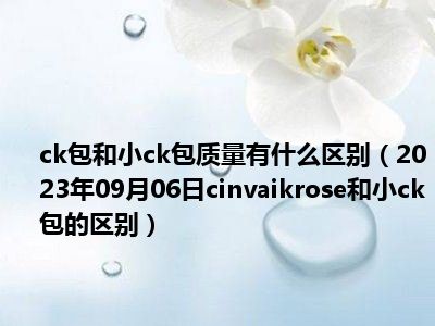 ck包和小ck包质量有什么区别（2023年09月06日cinvaikrose和小ck包的区别）