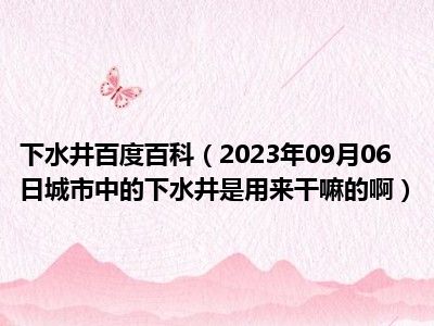 下水井百度百科（2023年09月06日城市中的下水井是用来干嘛的啊）