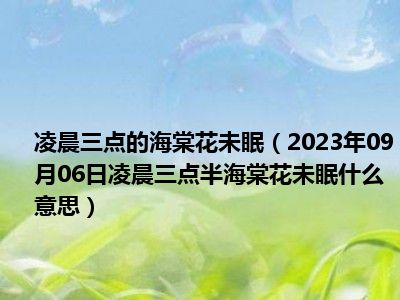 凌晨三点的海棠花未眠（2023年09月06日凌晨三点半海棠花未眠什么意思）