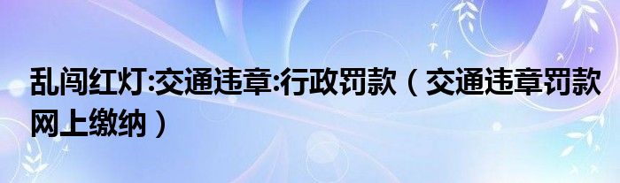  乱闯红灯:交通违章:行政罚款（交通违章罚款网上缴纳）