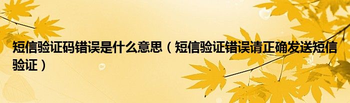  短信验证码错误是什么意思（短信验证错误请正确发送短信验证）