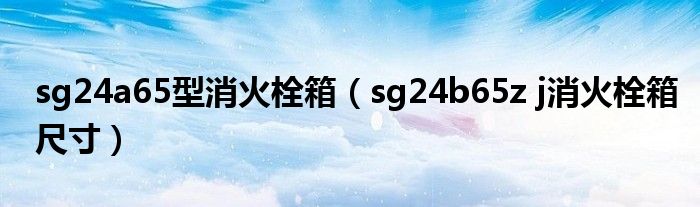  sg24a65型消火栓箱（sg24b65z j消火栓箱尺寸）