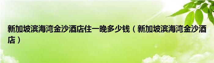  新加坡滨海湾金沙酒店住一晚多少钱（新加坡滨海湾金沙酒店）