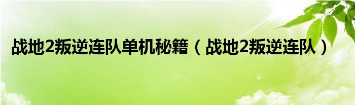  战地2叛逆连队单机秘籍（战地2叛逆连队）