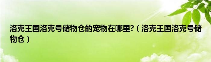  洛克王国洛克号储物仓的宠物在哪里 （洛克王国洛克号储物仓）