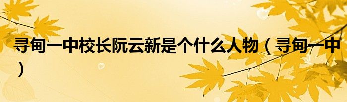  寻甸一中校长阮云新是个什么人物（寻甸一中）