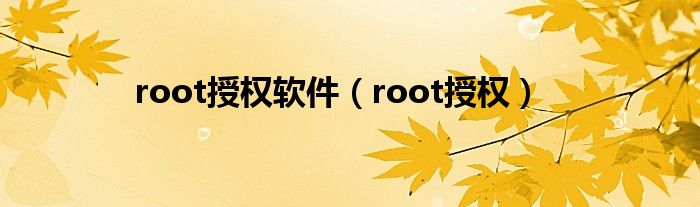  root授权软件（root授权）