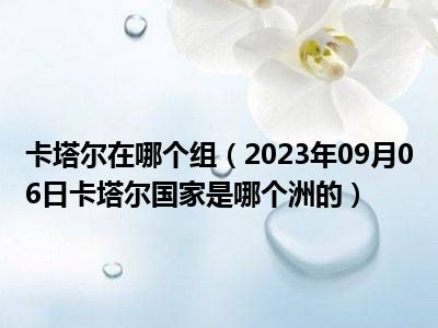 卡塔尔在哪个组（2023年09月06日卡塔尔国家是哪个洲的）