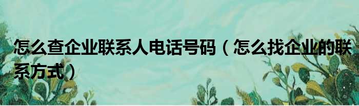 怎么查企业联系人电话号码（怎么找企业的联系方式）