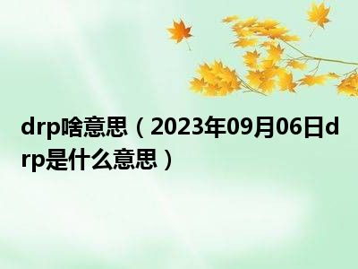 drp啥意思（2023年09月06日drp是什么意思）