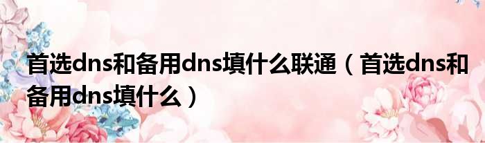 首选dns和备用dns填什么联通（首选dns和备用dns填什么）