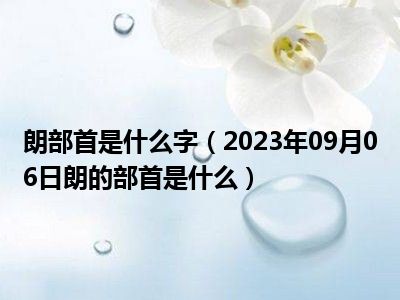 朗部首是什么字（2023年09月06日朗的部首是什么）