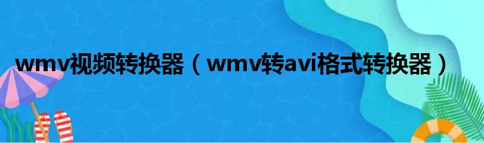 wmv视频转换器（wmv转avi格式转换器）