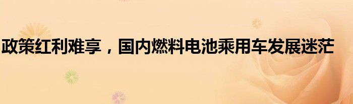 政策红利难享 国内燃料电池乘用车发展迷茫