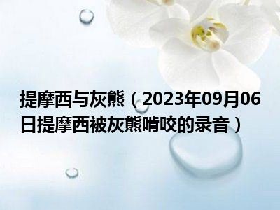 提摩西与灰熊（2023年09月06日提摩西被灰熊啃咬的录音）