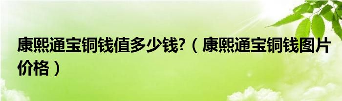  康熙通宝铜钱值多少钱 （康熙通宝铜钱图片价格）