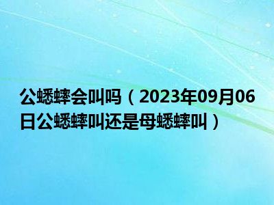 公蟋蟀会叫吗（2023年09月06日公蟋蟀叫还是母蟋蟀叫）