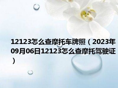 12123怎么查摩托车牌照（2023年09月06日12123怎么查摩托驾驶证）